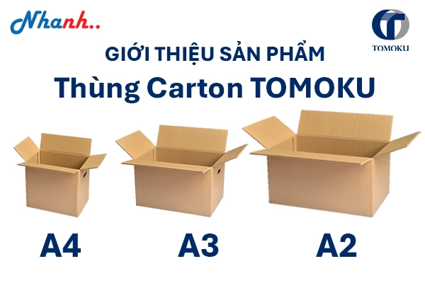 Thùng Carton TOMOKU: Giải Pháp Lưu Trữ Hồ Sơ Tối Ưu Cho Văn Phòng Hiện Đại